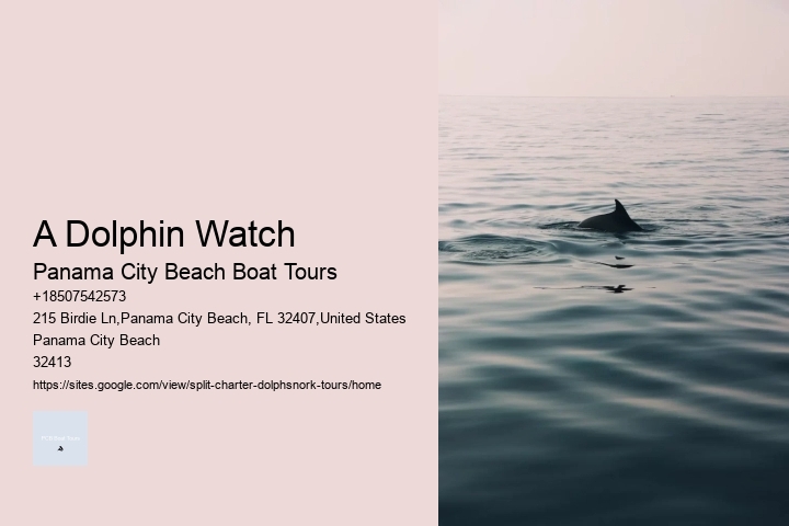 A Dolphin Watch