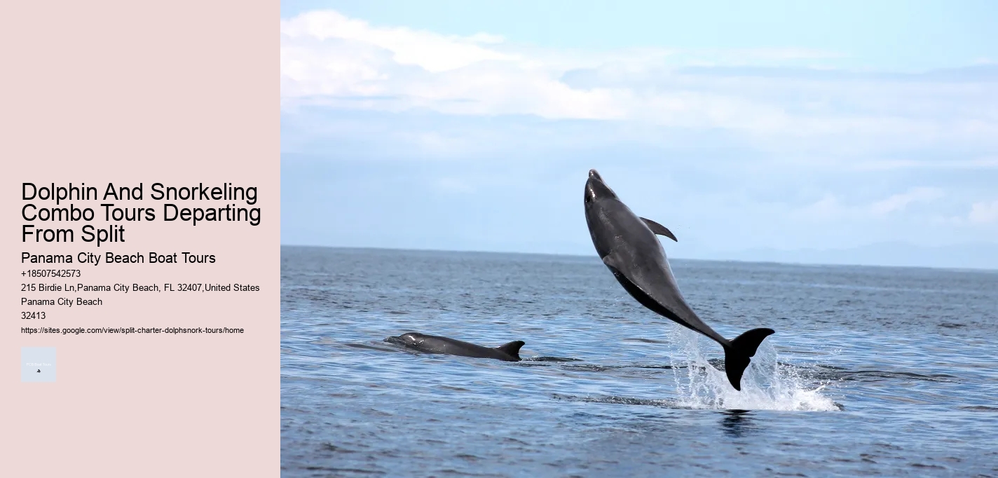 Dolphin And Snorkeling Combo Tours Departing From Split