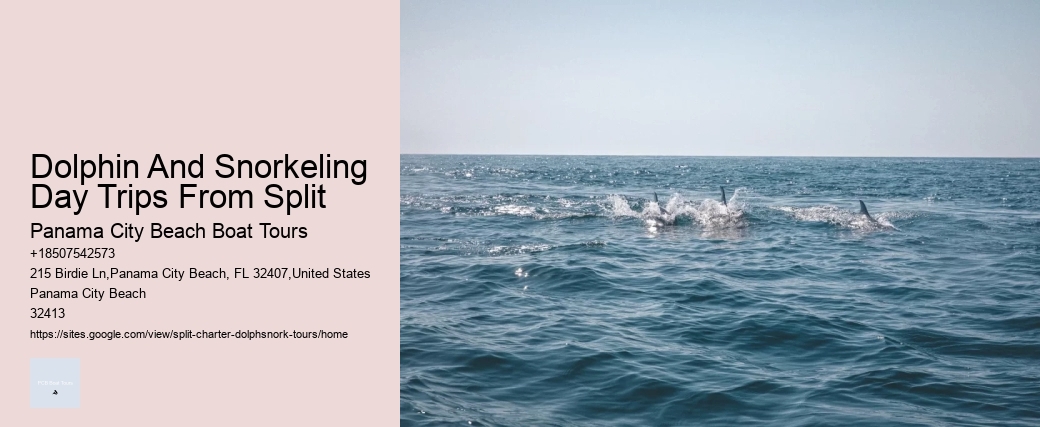 Dolphin And Snorkeling Day Trips From Split