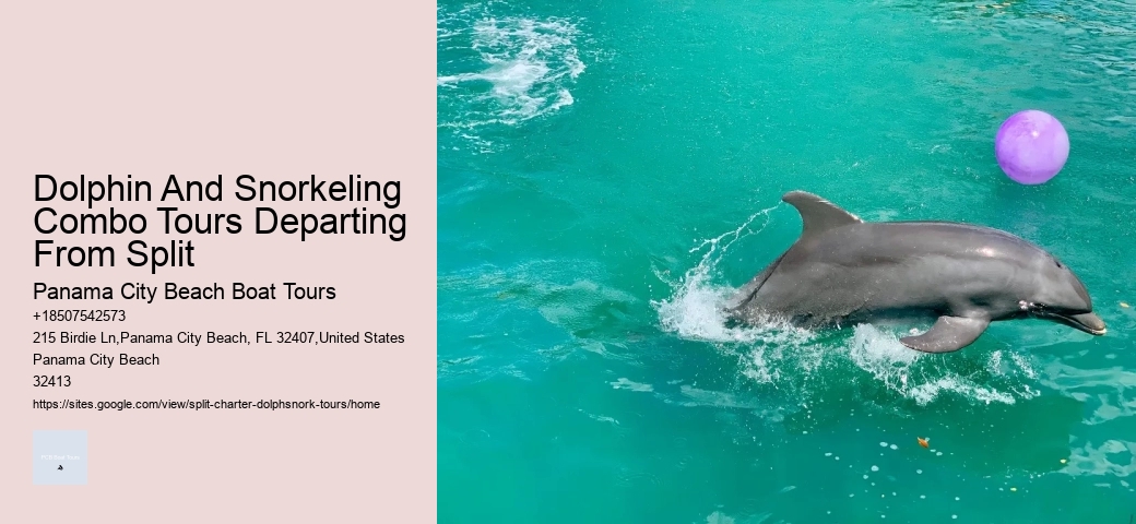 Where Is The Best Place For Dolphin Watching