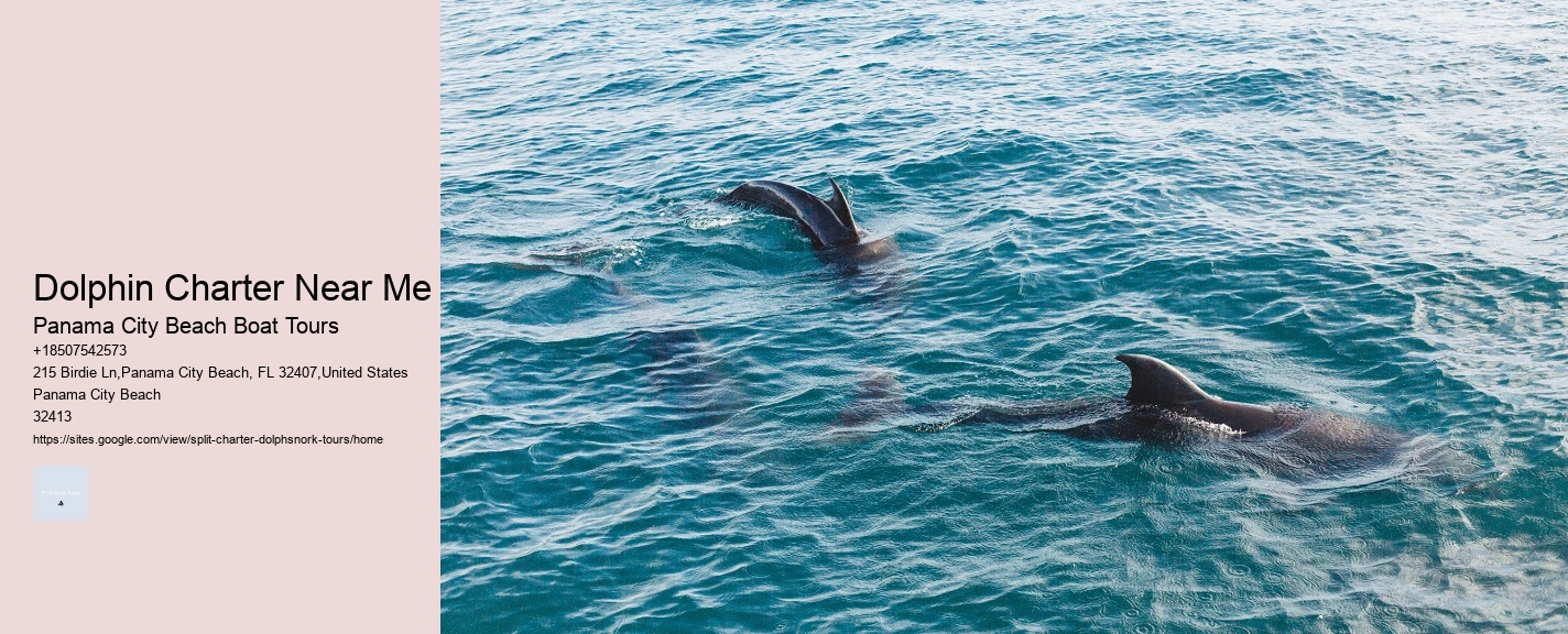 Dolphin Charter Near Me