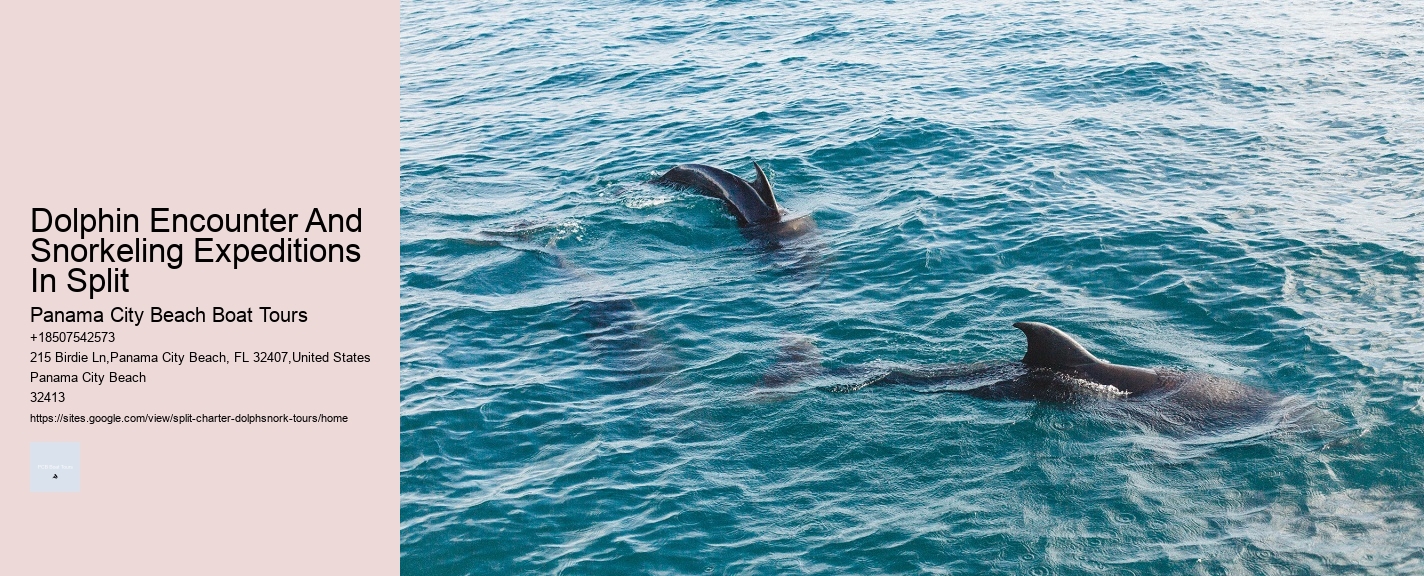 Dolphin Encounter And Snorkeling Expeditions In Split