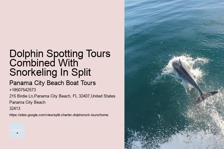 What Is The Difference Between Dolphin Encounter And Dolphin Swim