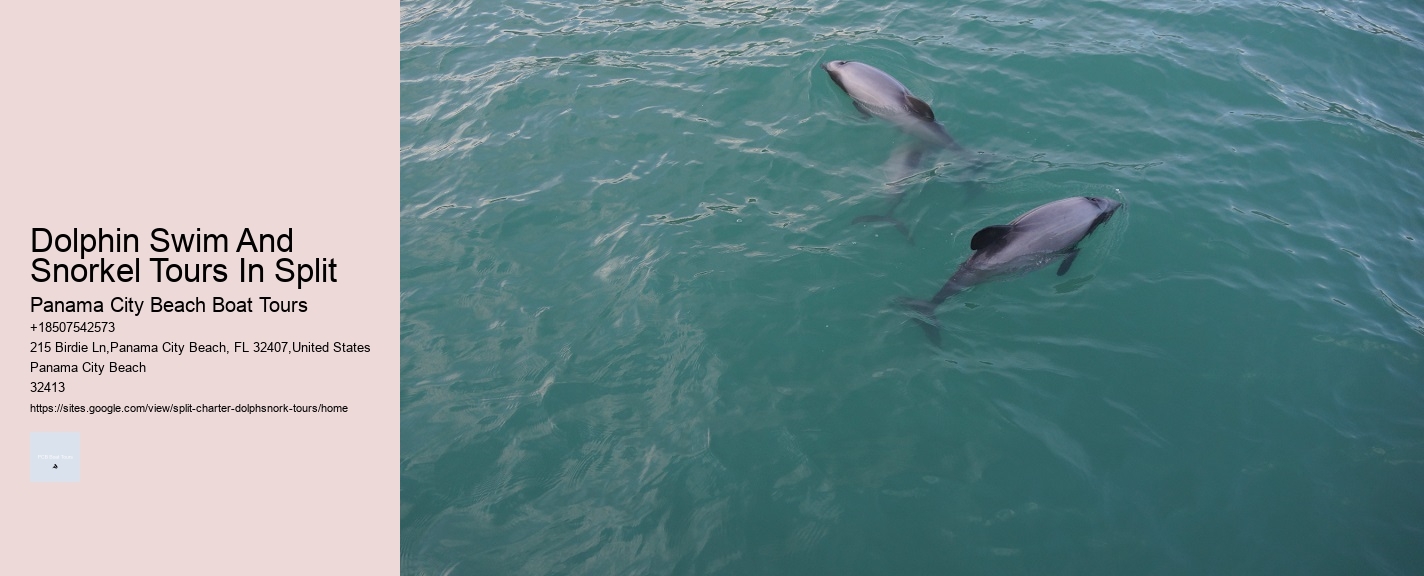 Dolphin Swim And Snorkel Tours In Split