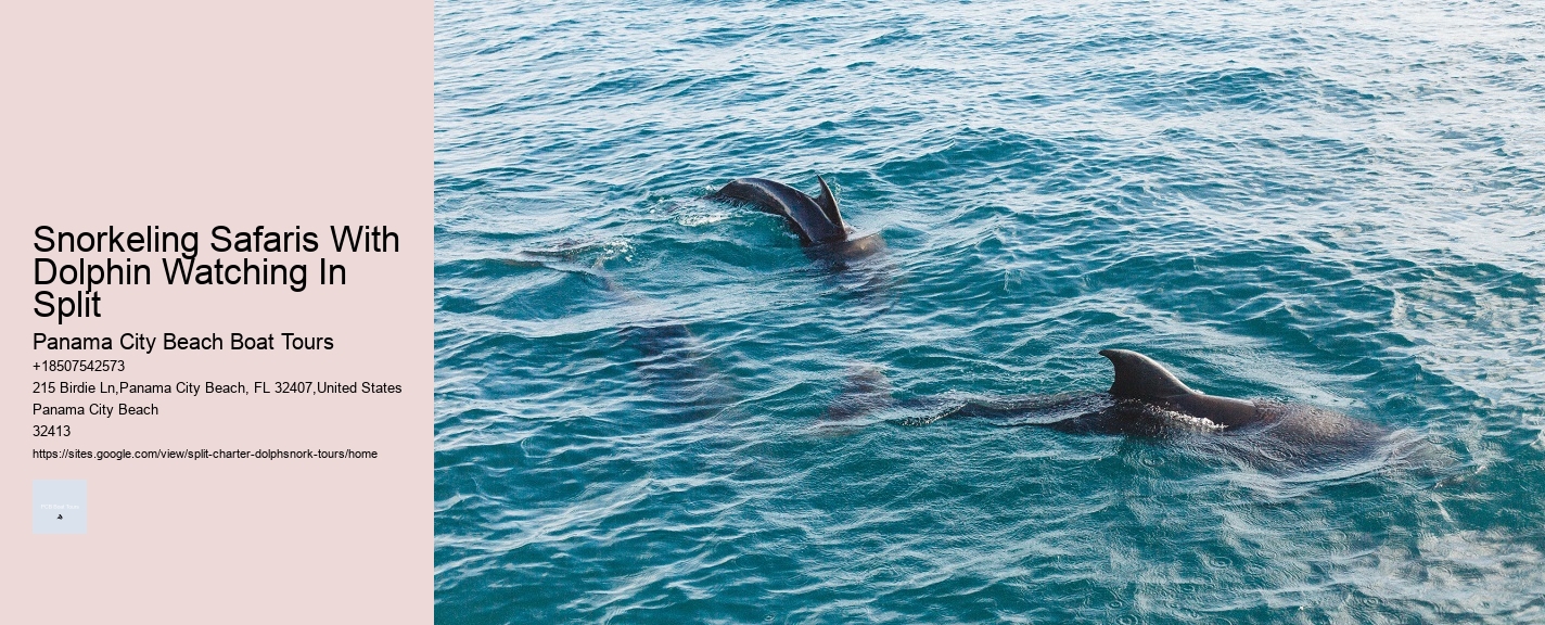 Snorkeling Safaris With Dolphin Watching In Split