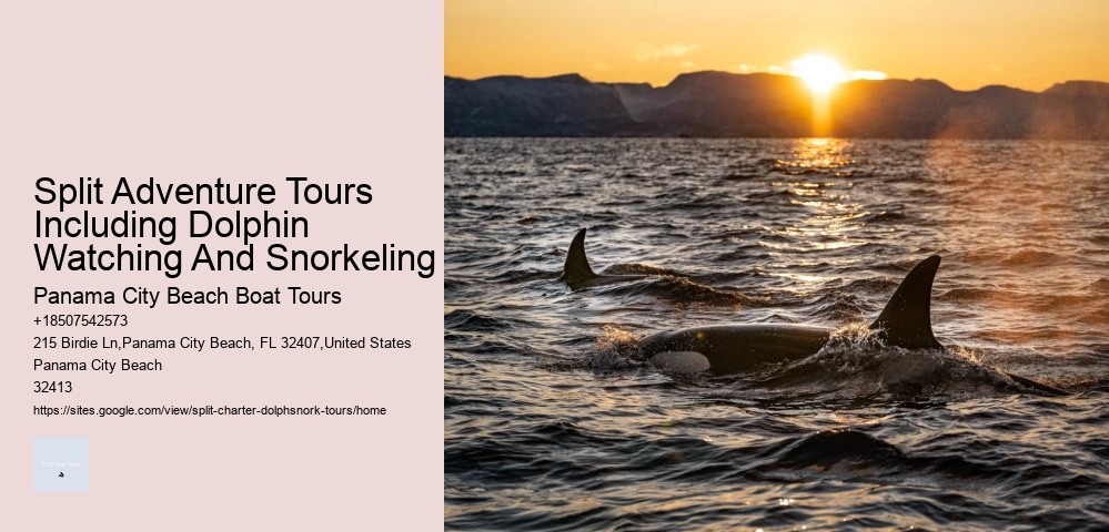 Ten Reasons Sharks Are Afraid Of Dolphins