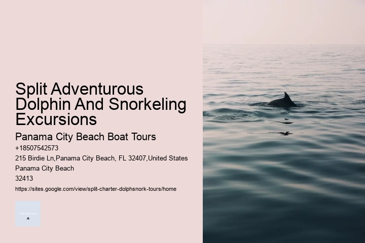 Split Adventurous Dolphin And Snorkeling Excursions