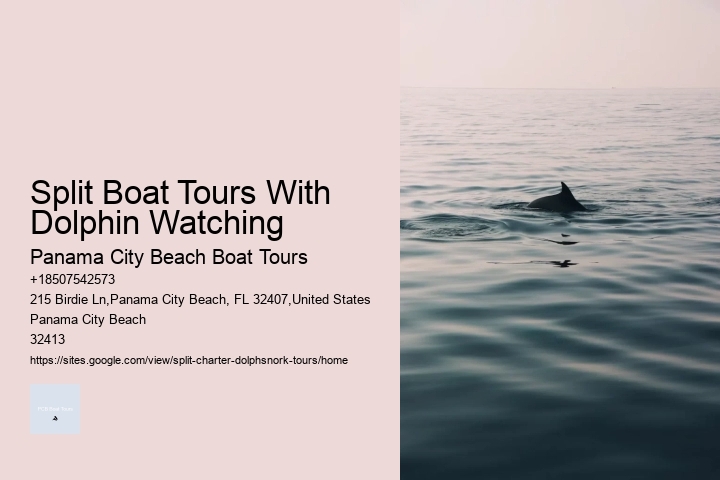Split Boat Tours With Dolphin Watching