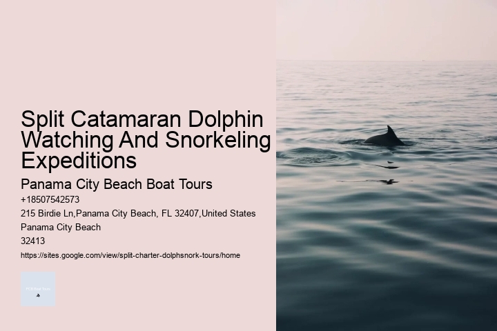 Split Catamaran Dolphin Watching And Snorkeling Expeditions