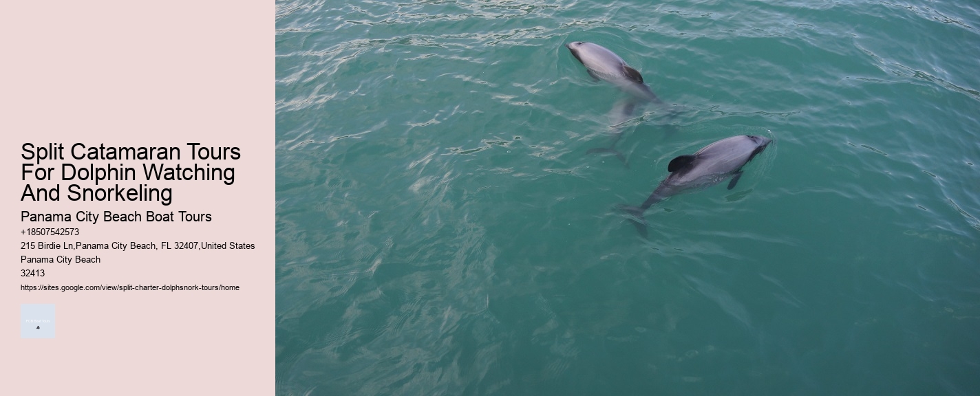 Split Catamaran Tours For Dolphin Watching And Snorkeling