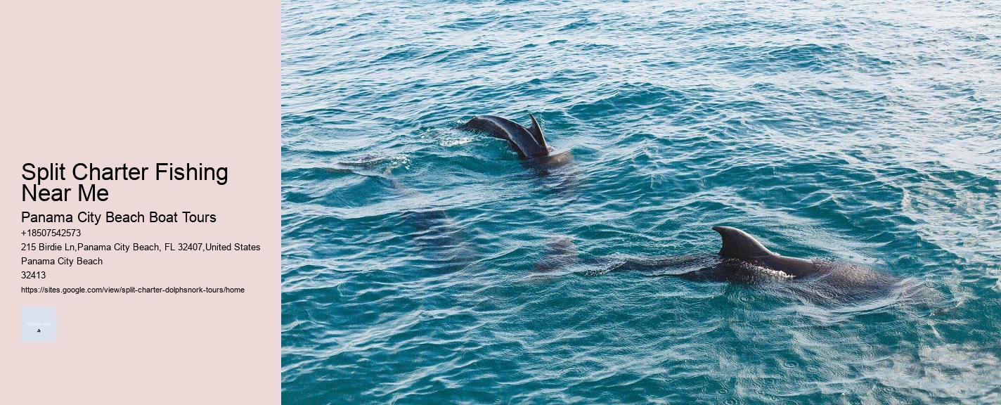 Split Exclusive Dolphin And Snorkeling Experiences