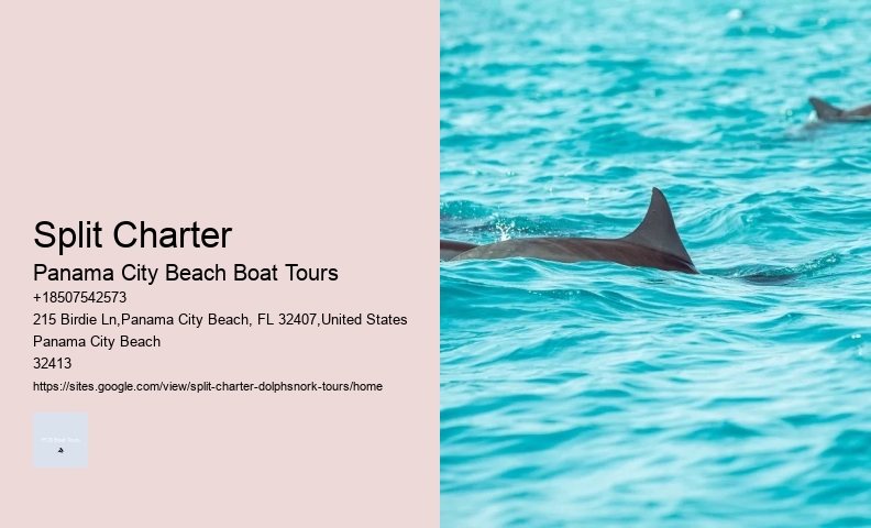 Do Dolphins Try To Protect Humans