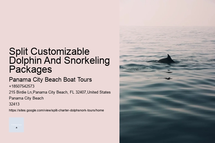 Split Customizable Dolphin And Snorkeling Packages