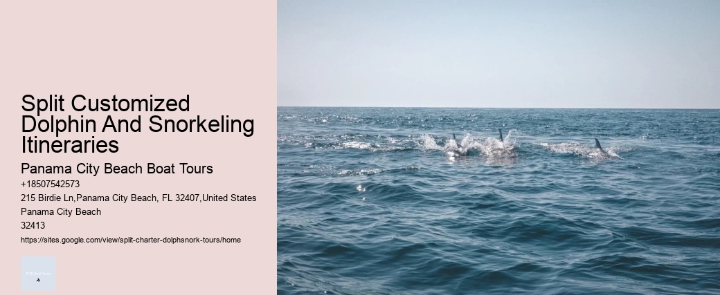 Split Customized Dolphin And Snorkeling Itineraries