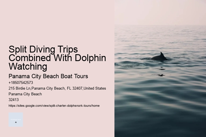 Split Snorkeling And Dolphin Sightseeing Expeditions