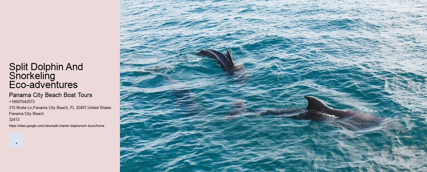 Split Dolphin And Snorkeling Eco-adventures