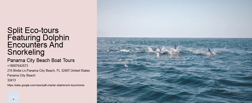 Split Eco-tours Featuring Dolphin Encounters And Snorkeling