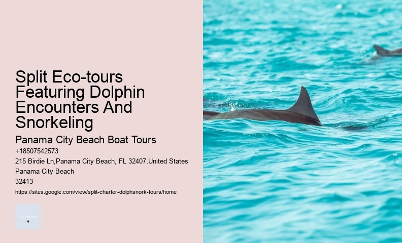 Why Doesn T The National Aquarium Do Dolphin Shows