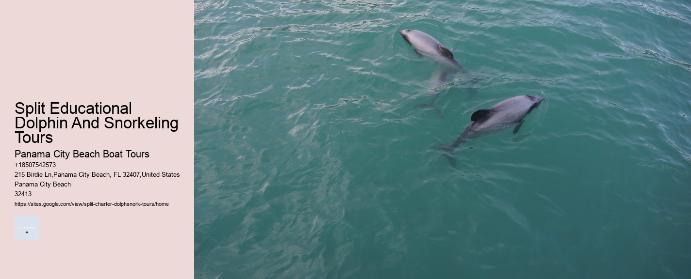 Split Educational Dolphin And Snorkeling Tours