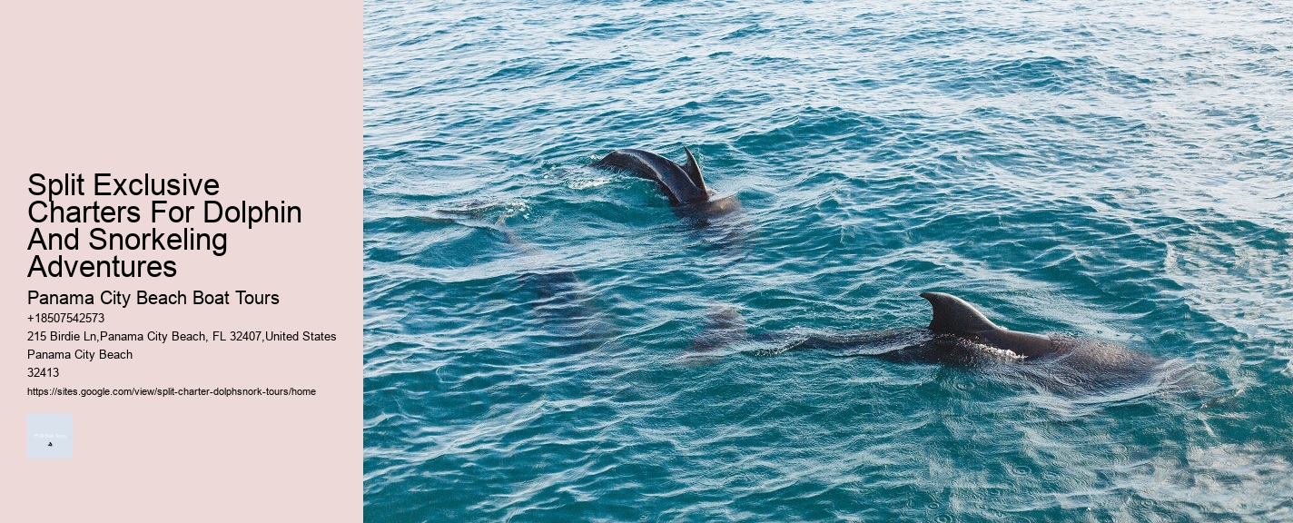 Split Exclusive Charters For Dolphin And Snorkeling Adventures