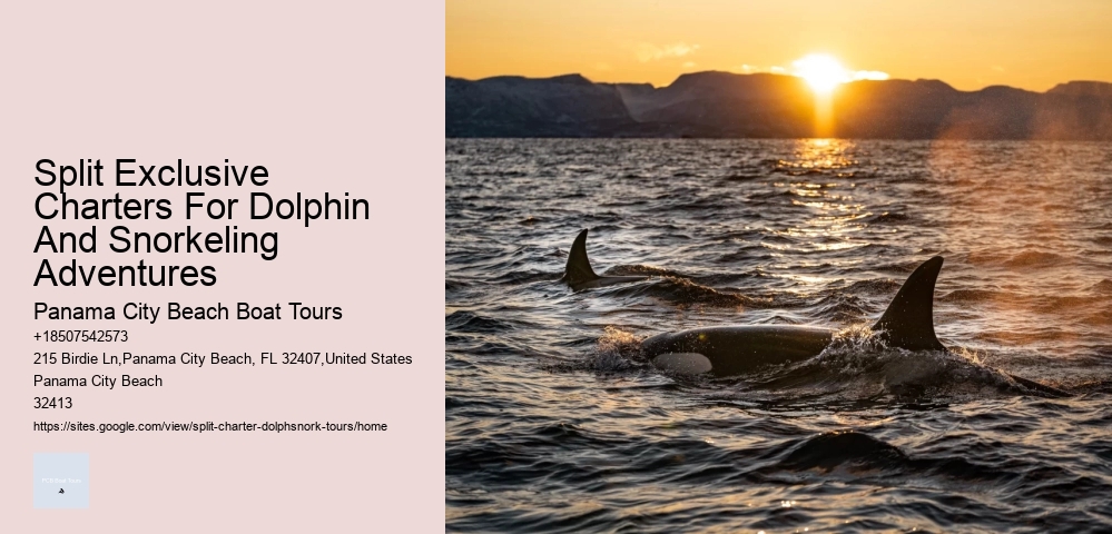 Split Multi-day Sailing Trips With Dolphin Watching And Snorkeling