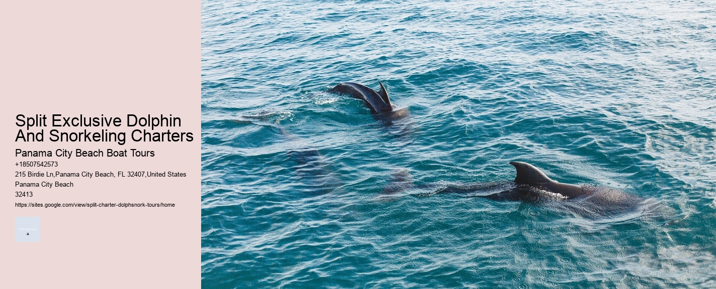 Split Exclusive Dolphin And Snorkeling Charters