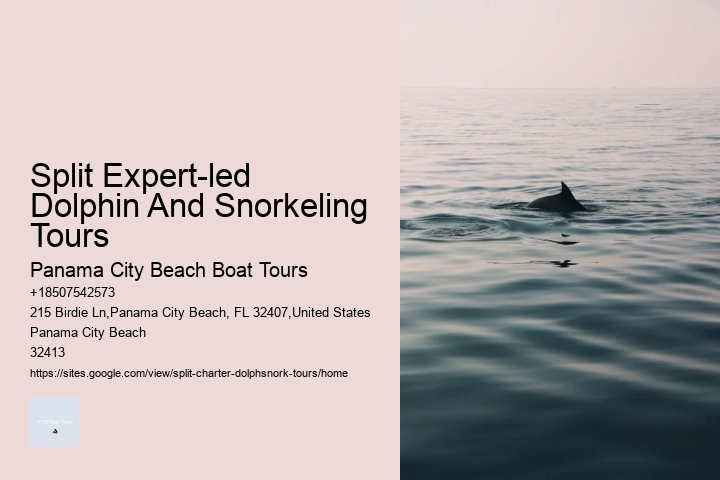 Split Expert-led Dolphin And Snorkeling Tours