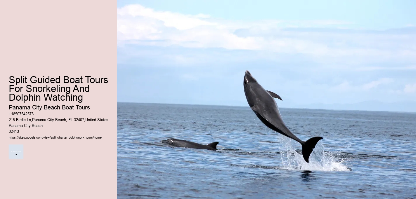 Split Guided Boat Tours For Snorkeling And Dolphin Watching