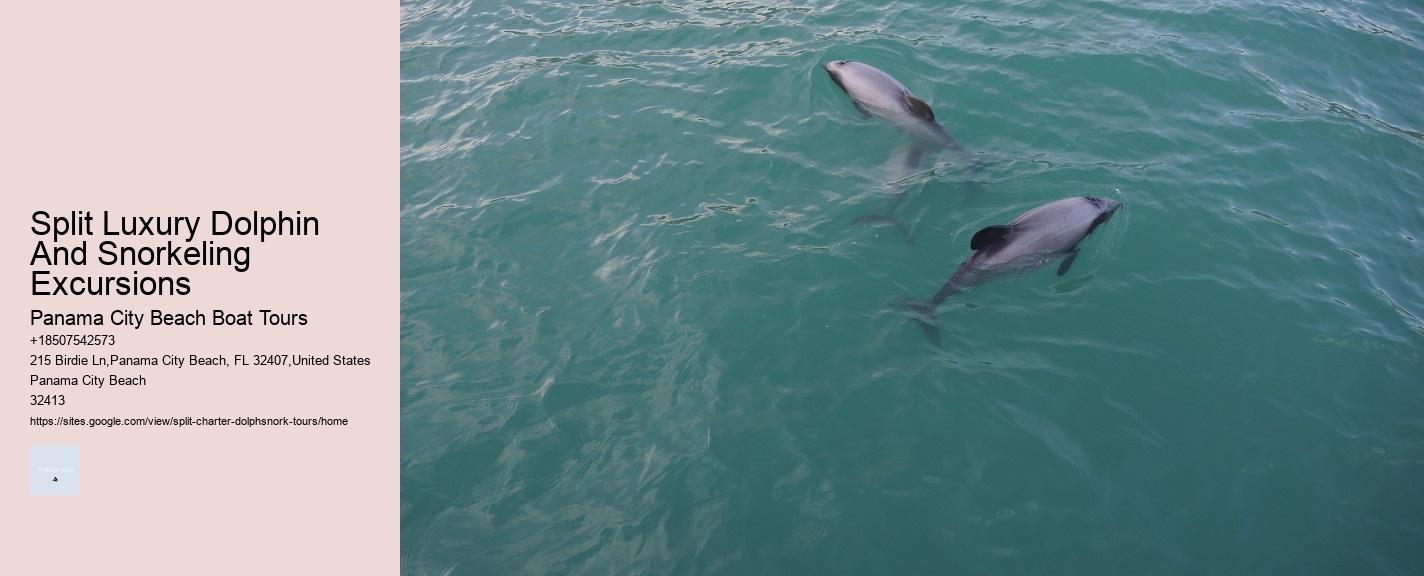 Split Luxury Dolphin And Snorkeling Excursions