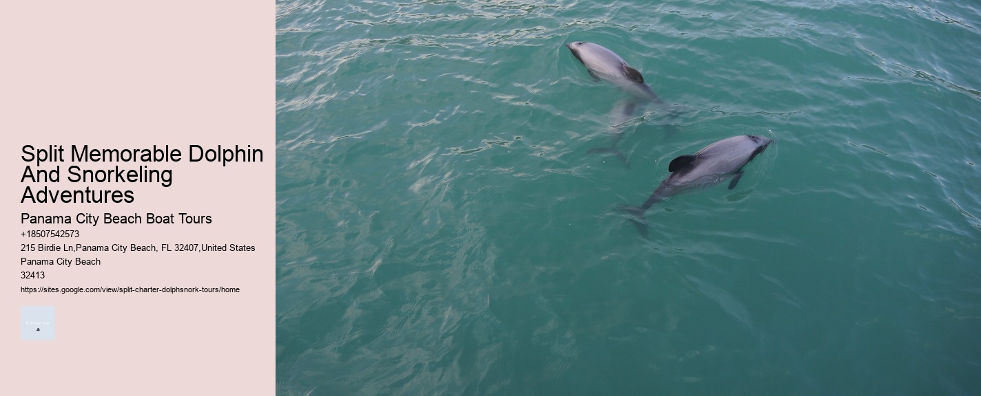 Split Memorable Dolphin And Snorkeling Adventures