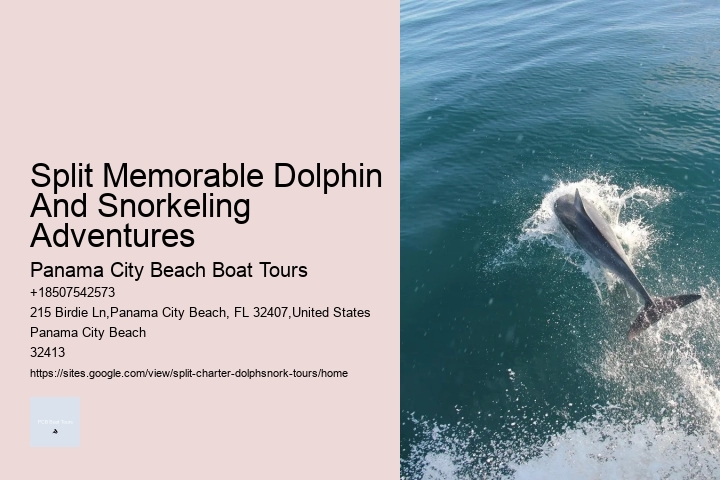 Split Luxury Dolphin And Snorkeling Yacht Charters