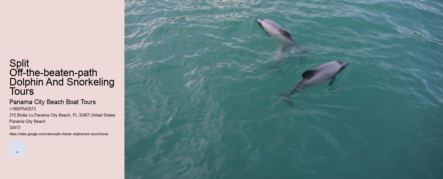 What Is A Dolphins Worst Enemy