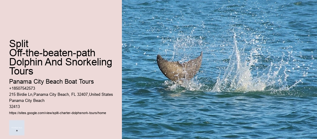 Split Off-the-beaten-path Dolphin And Snorkeling Tours