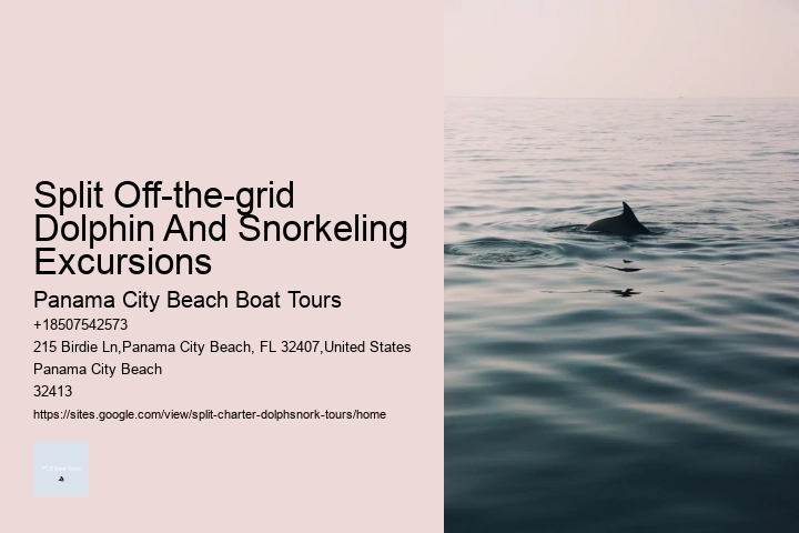 Split Off-the-grid Dolphin And Snorkeling Excursions