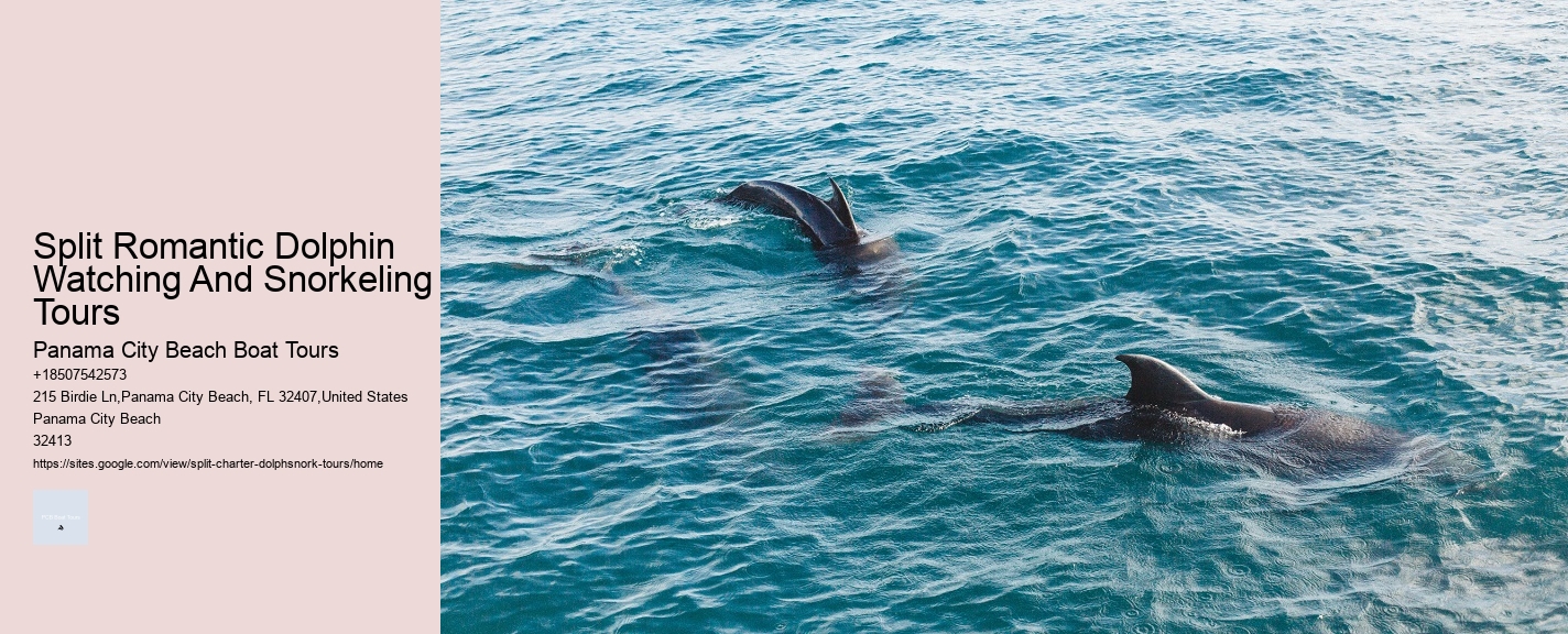 Split Romantic Dolphin Watching And Snorkeling Tours