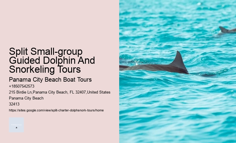 Split Customized Snorkeling And Dolphin Itineraries