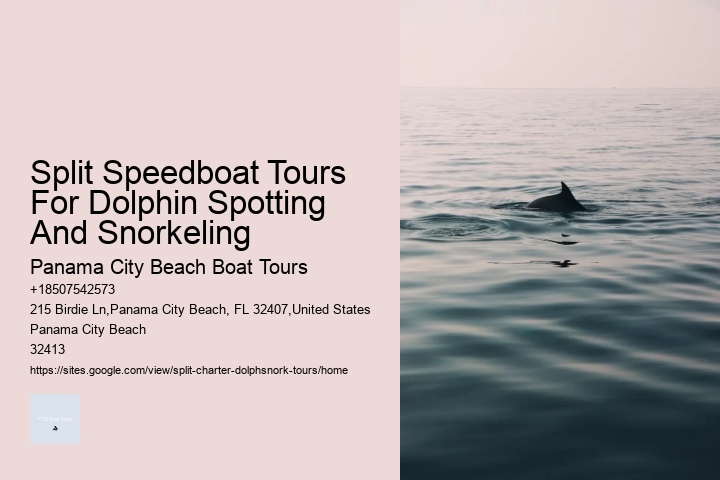 Split Speedboat Tours For Dolphin Spotting And Snorkeling