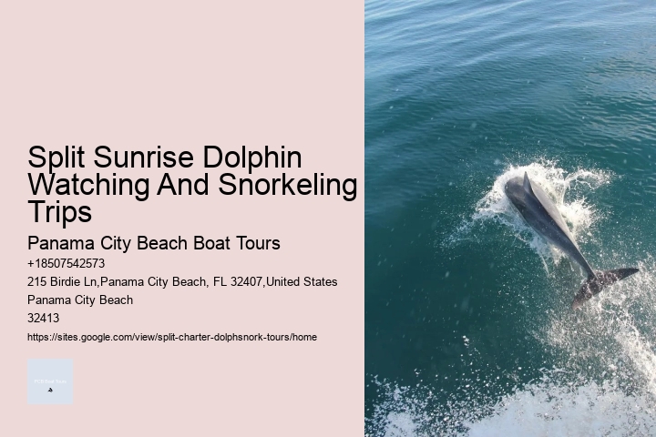 Split Family-friendly Dolphin And Snorkeling Trips