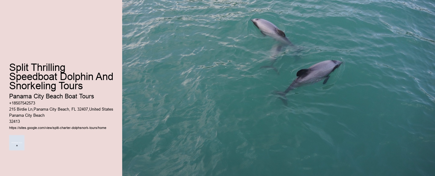 Experts Say Dolphins May Detect Human Pregnancies