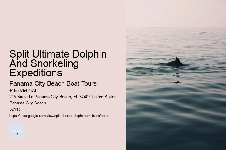 Split Ultimate Dolphin And Snorkeling Expeditions