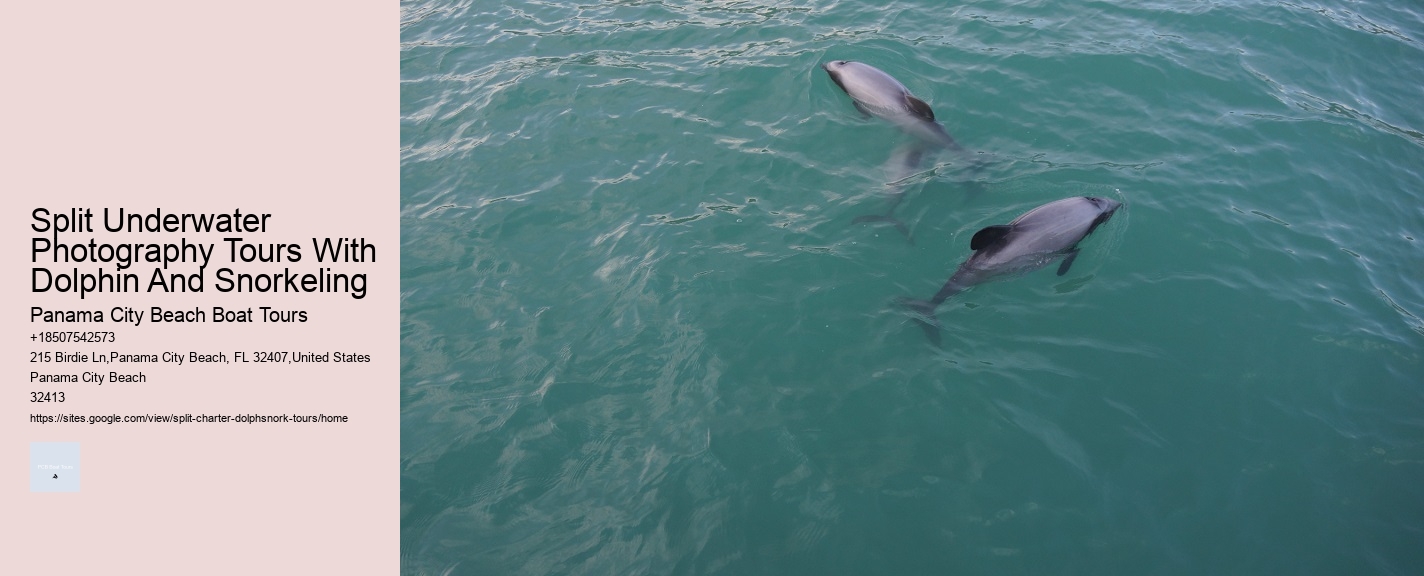 Split Luxury Snorkeling And Dolphin Charters