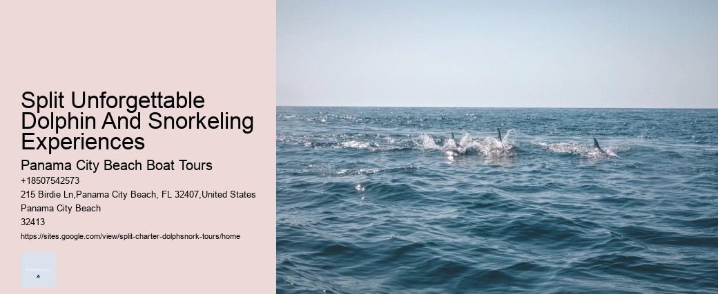 Split Unforgettable Dolphin And Snorkeling Experiences